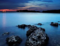 Karang Jamuang Surga Tersembunyi di Tengah Laut Jawa