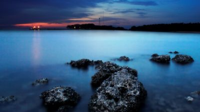 Karang Jamuang Surga Tersembunyi di Tengah Laut Jawa